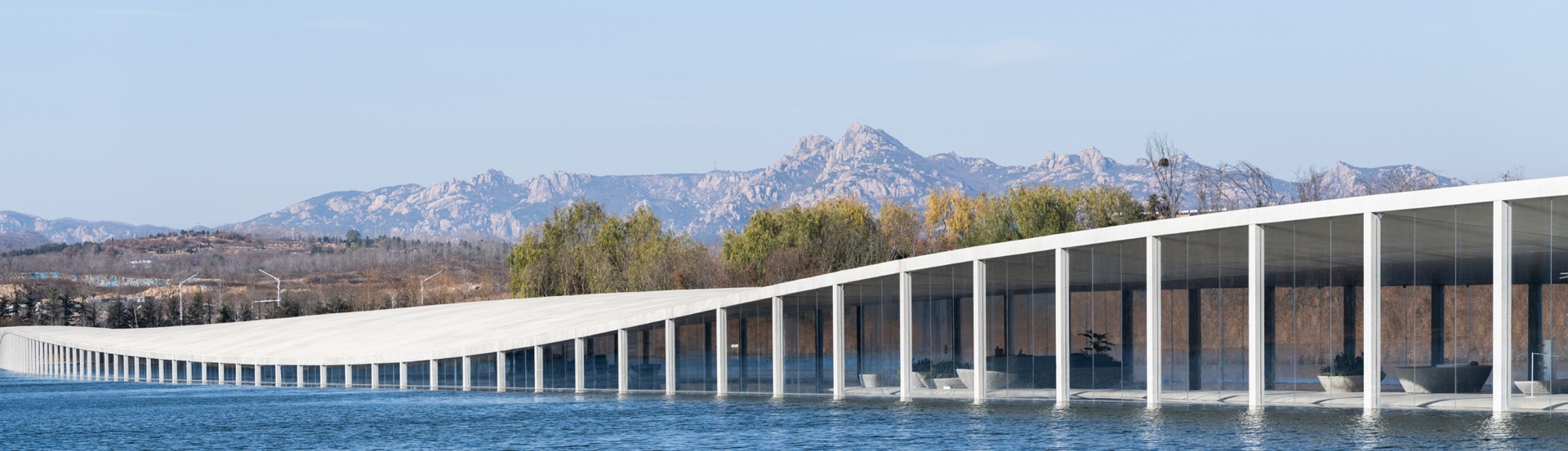 l'Arca International