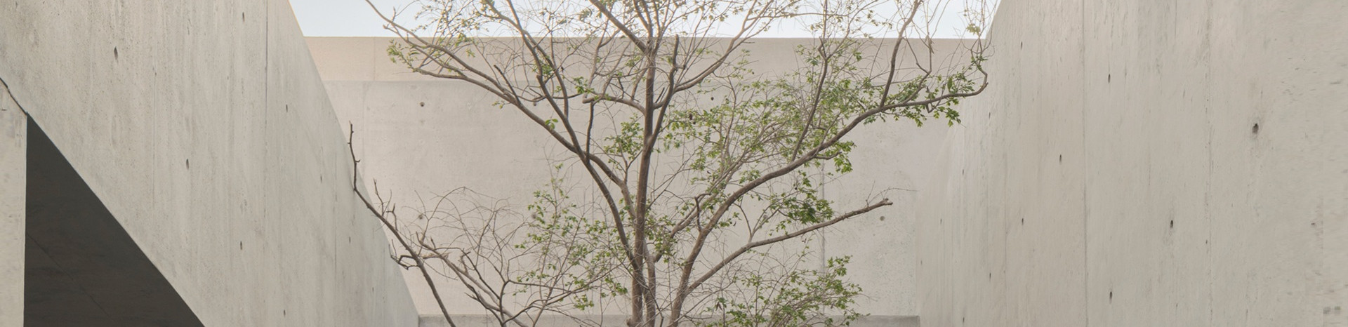 l'Arca International