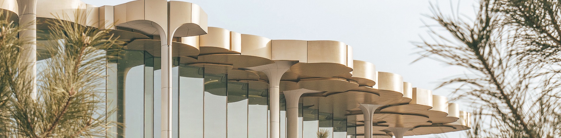 l'Arca International