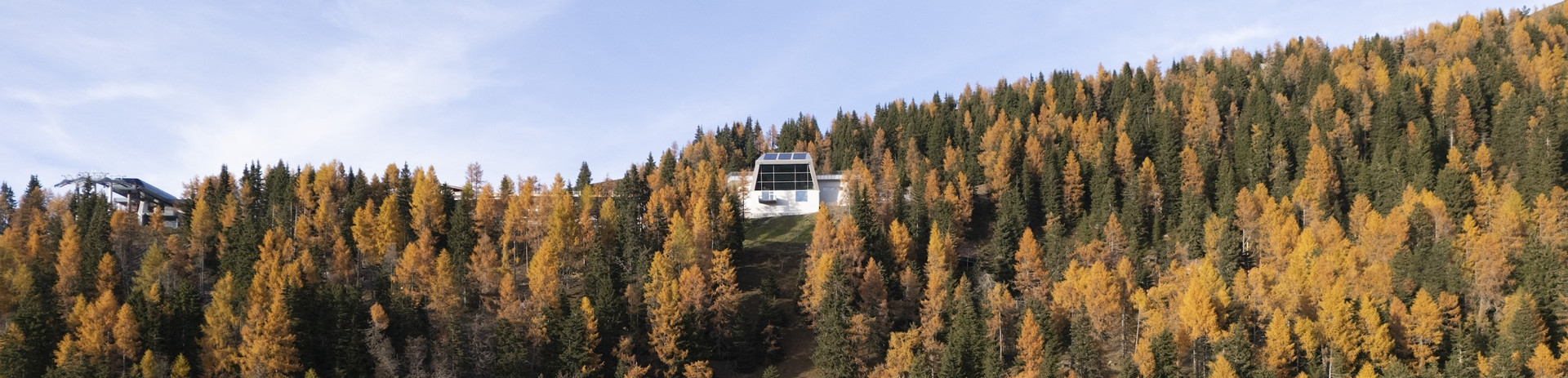 l'Arca International