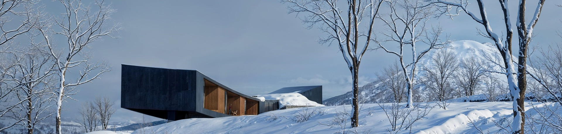 l'Arca International